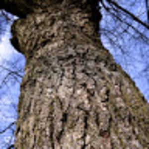 Meet your Posher, Yuel